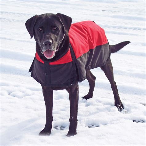 waterproof jackets for dogs.